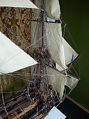 _ROYAL_CAROLINE_241.jpg