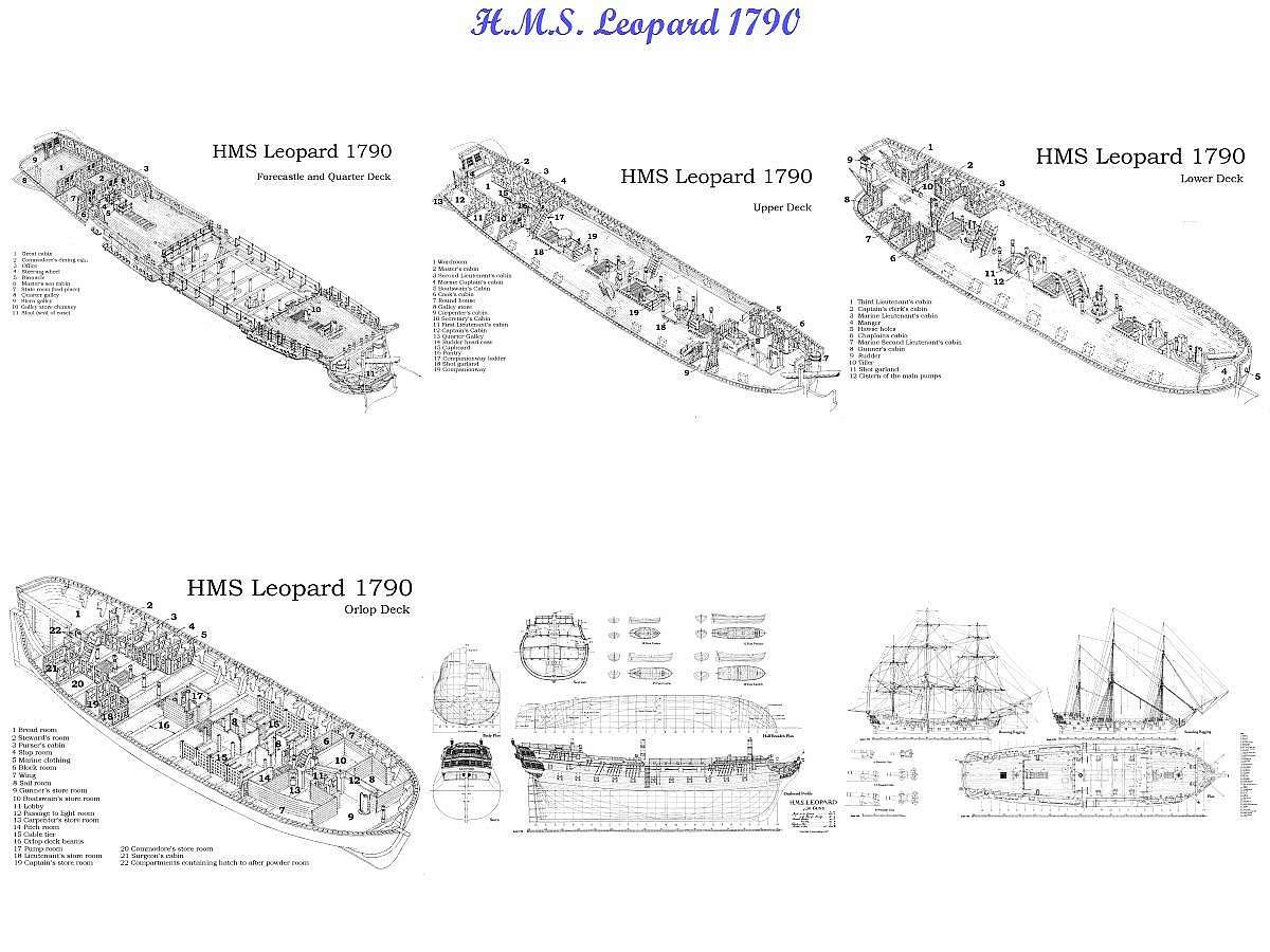 LEOPARD_HMS_1790.jpg